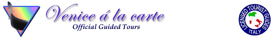 Tour Venice logo
